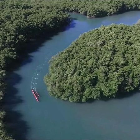 弗兰西斯之家住宿加早餐旅馆 里约热内卢 外观 照片