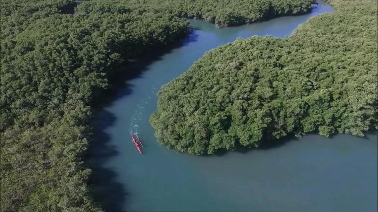 弗兰西斯之家住宿加早餐旅馆 里约热内卢 外观 照片